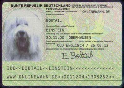 Kontakt zu Bobtail Einstein